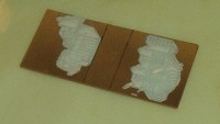 PCBs in water disolving paper